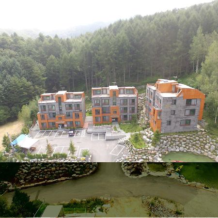 Phoenix Emerald Pension Villa Pyeongchang Exterior photo